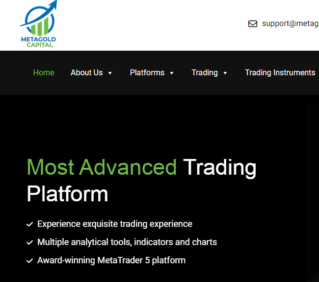 Metagold Capital Review